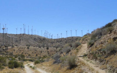 BLM Approves Mesa Wind Repower Project Near Palm Springs