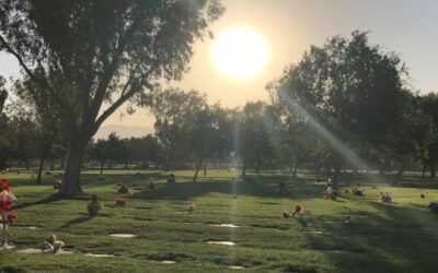 Coachella Valley Public Cemetery District Receives Grant for Infrastructure Improvements