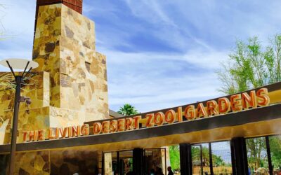 The Living Desert Zoo And Gardens – Popular Local Attraction And Economic Engine for GPS