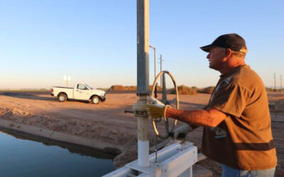 Imperial Irrigation District Acts to Conserve Water to Protect the Colorado River