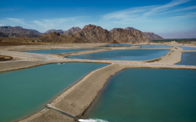 Coachella Valley Water Management Plan Updates Receive State Approval