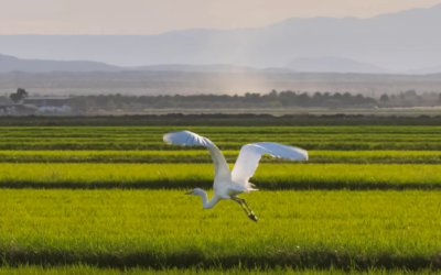 Oswit Land Trust Expands Conservation Easements to 6,300 Acres of Agricultural Land