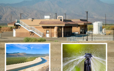 CVWD Secures $39 Million Grant for Plant Expansion Blending Recycled and Canal Water for Irrigation