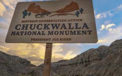 President Biden Designates Chuckwalla National Monument, Securing Over 624,000 Acres of Historic and Cultural Significance