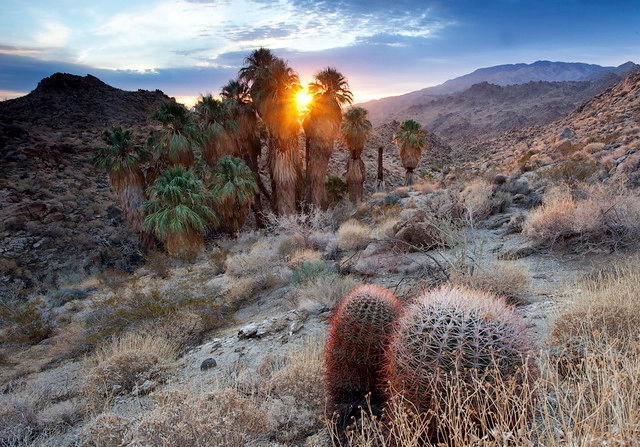 Agua Caliente Tribe gets 656 acres - image