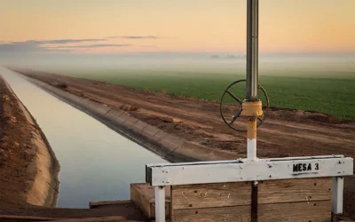 IID Adopts New Strategic Plan as Regional Growth Pressures Power and Water Systems