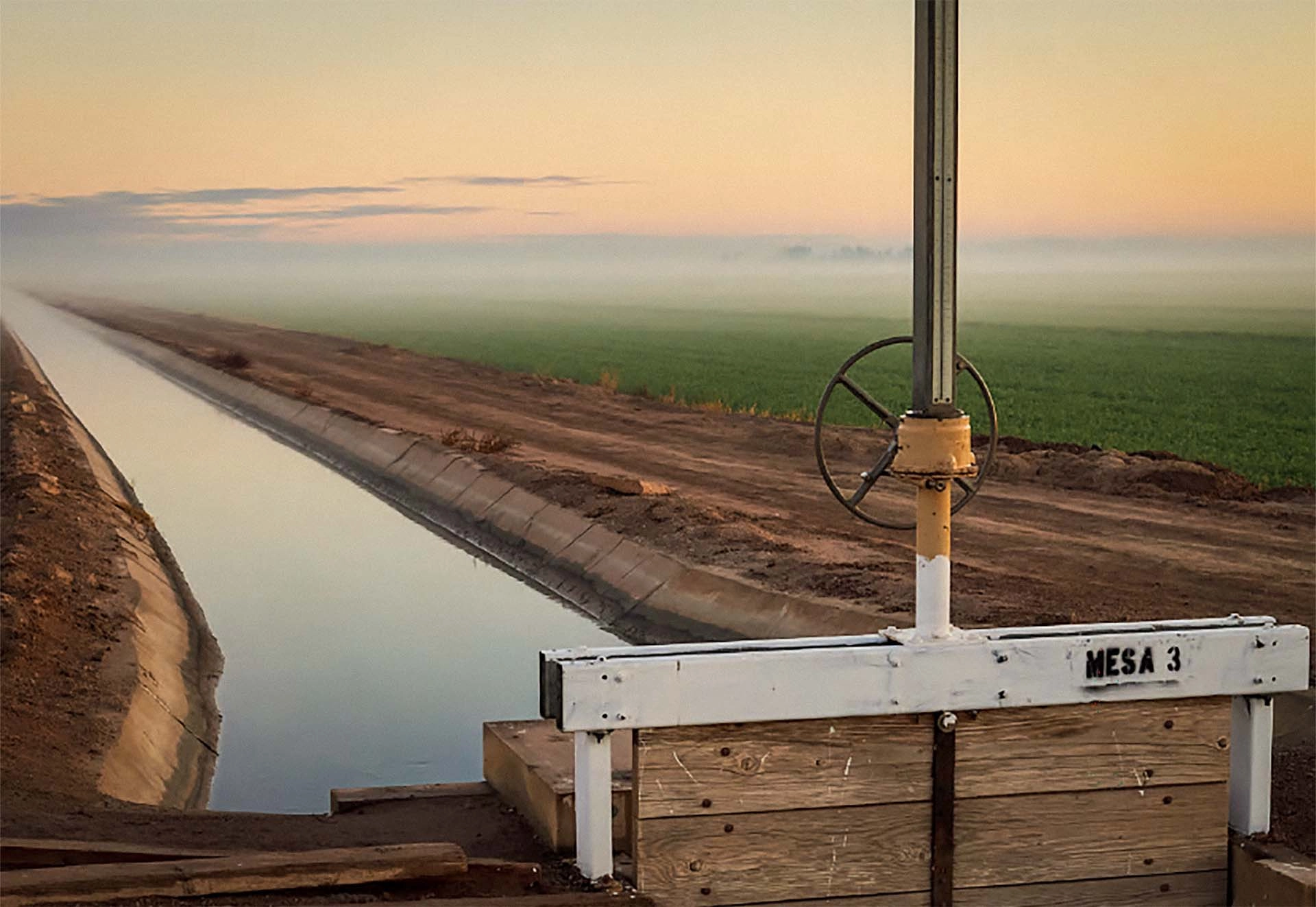 IID strategic plan - image for article