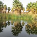 Conservancy Announces $2 Million in New Grants