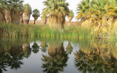 Conservancy Announces $2 Million in New Grants