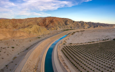 Lower Basin Water Plan Raises Stakes For Colorado River, Local Agriculture And The Salton Sea