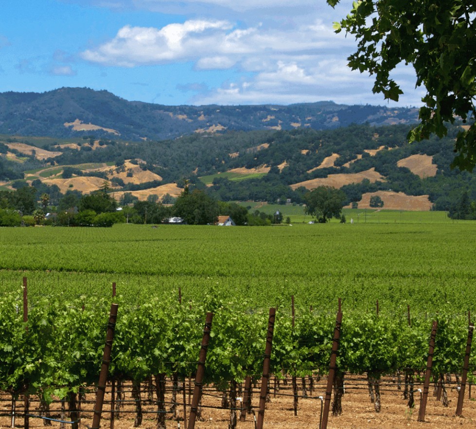 Flights Between PSP and Sonoma County Wine Country Will Start Earlier Than Ever This Fall 1 Sonoma Alexaner Valley